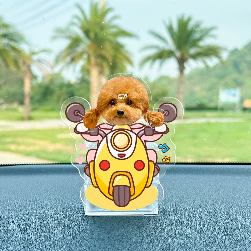 寵物搖頭擺件 照片訂製禮物