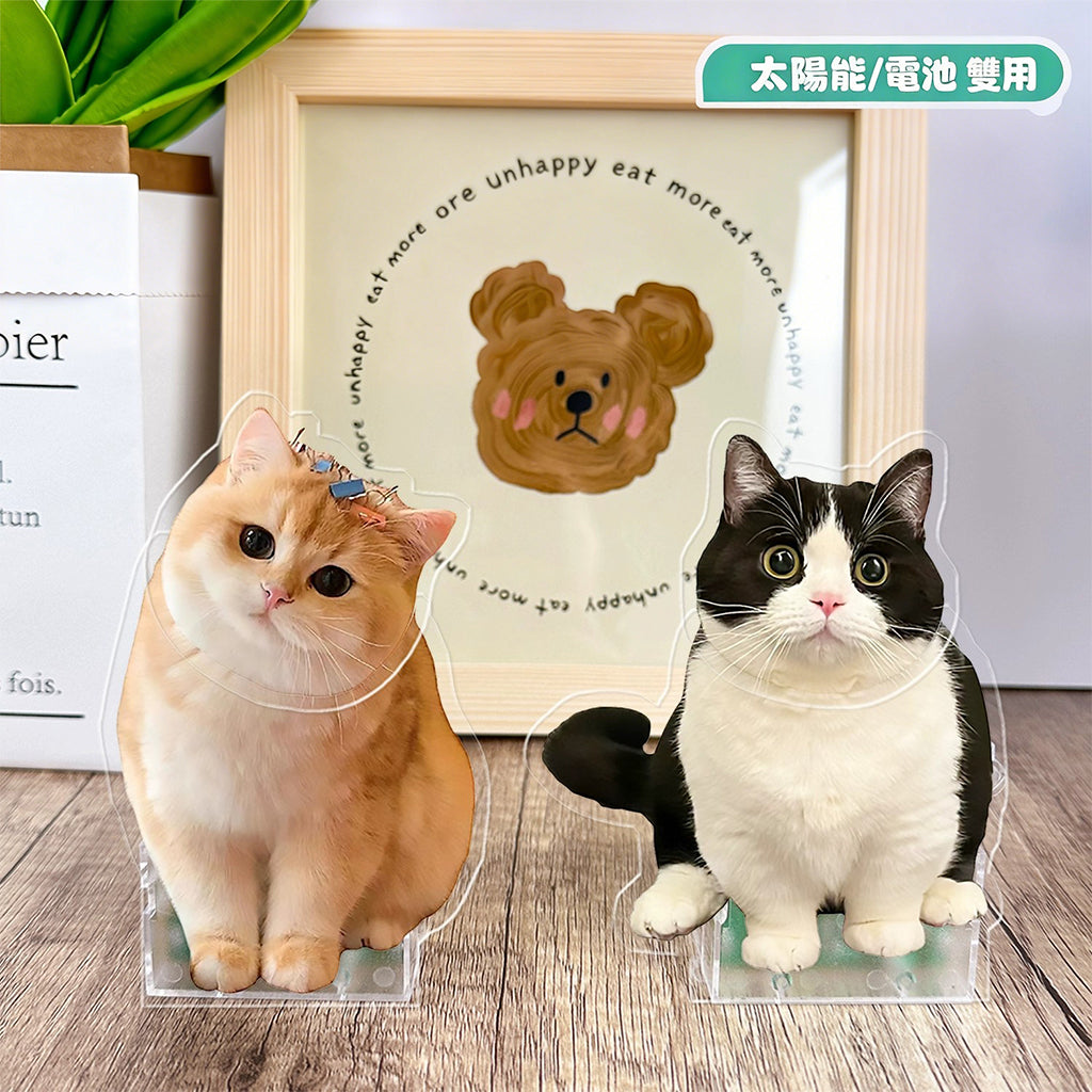 寵物搖頭擺件 照片訂製禮物