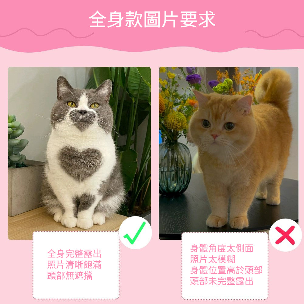 寵物搖頭擺件 照片訂製禮物