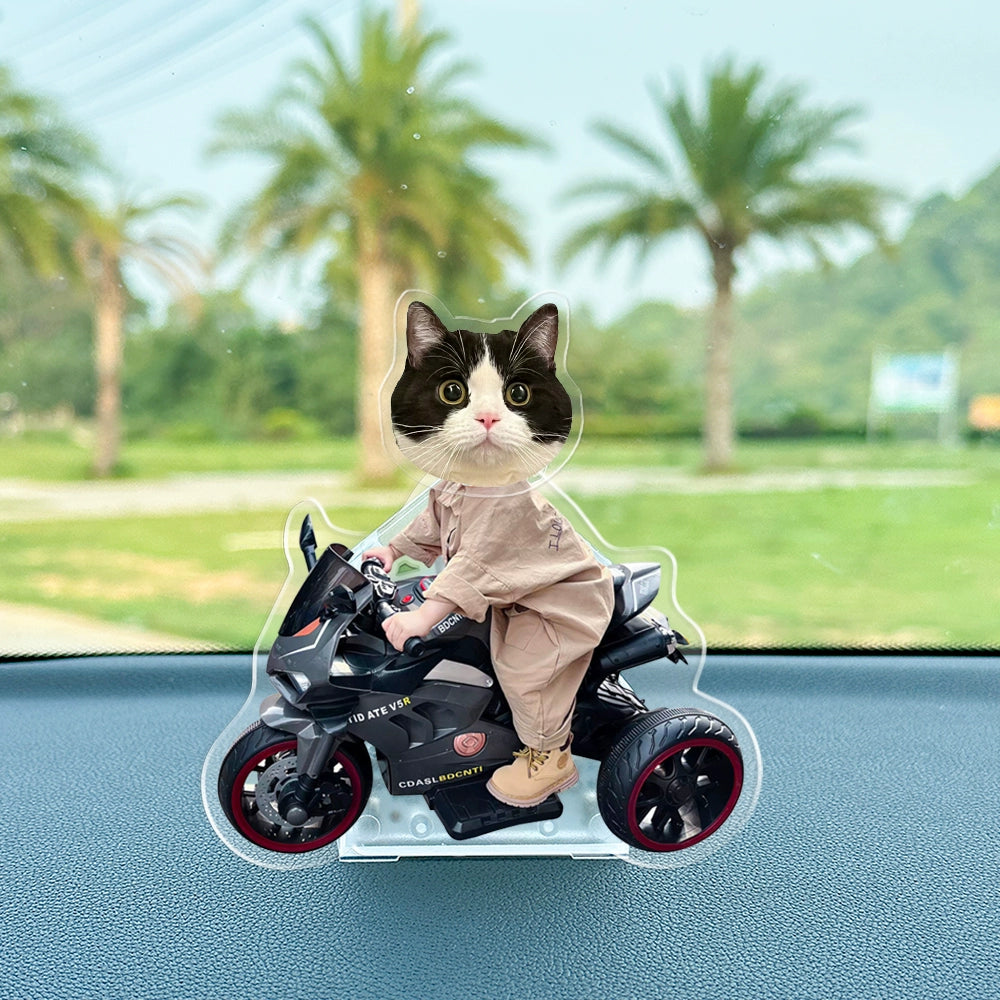 寵物搖頭擺件 照片訂製禮物