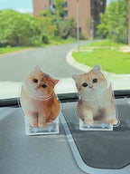 寵物搖頭擺件 照片訂製禮物